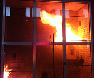 Противопожарные окна Дрезна